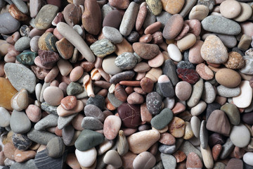 Gravel pattern of colored stones with shell. Abstract nature pebbles background.Small sea stones on the beach, vacation at sea. Top view   
