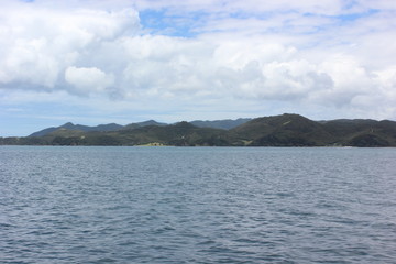 Fototapeta premium Newzealand Beauty