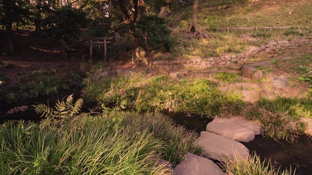 Pan video of a Shinto shrine and fox stone statues in the forest.