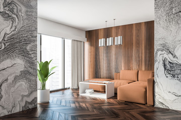 Marble and wooden living room with sofa - obrazy, fototapety, plakaty