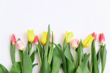 Bouquet of colored tulips on a white background. Spring flowers. Colored tulips, Lovely tulip flowers composition. Valentines Day or Mothers day. International Womens Day March 8.