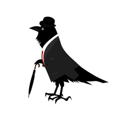 Raven is a gentleman. Cartoon drawing. Vector illustration
