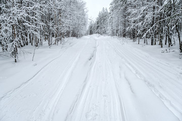 Winter landscape. Winter road through a snow-covered forest