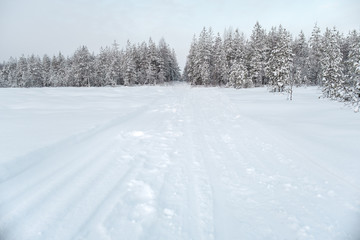 Winter landscape. Winter road through a snow-covered forest
