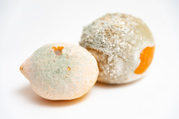 Spoiled orange and lemon isolated on white background. Close-up. Horizontal shot.