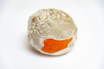 Spoiled orange isolated on white background. Close-up. Horizontal shot.