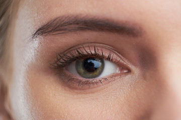 eye brown macro shot. Close-up portrait of a beautiful female eye