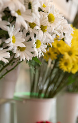 Bouquet with flower blossom. Floral background. Shallow depth photo. Soft toned colors.