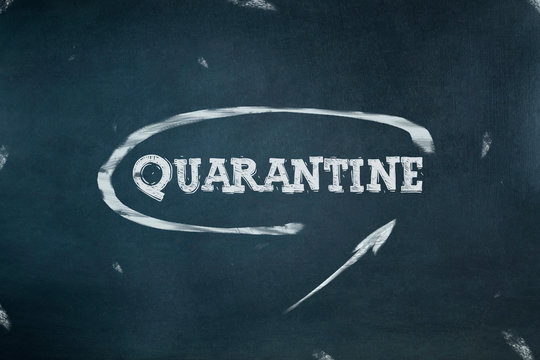 Quarantine. The inscription in chalk on a dark blackboard. Viruses. Epidemics.