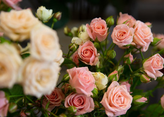 Bouquet with flower blossom. Floral background. Shallow depth photo. Soft toned colors.