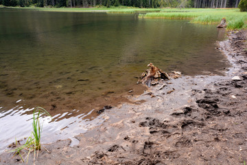 Austrian landscape near Graz