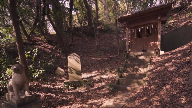 Pan video of a Shinto shrine and fox stone statues in the forest.