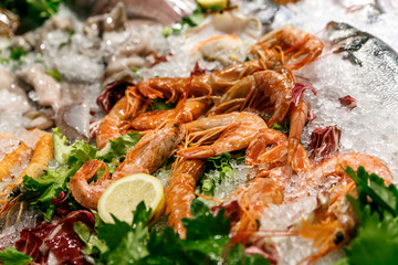 a variety of fresh seafood on a store’s sail. White-headed sea fish, shrimps, crabs, crayfish, mollusks lie on ice