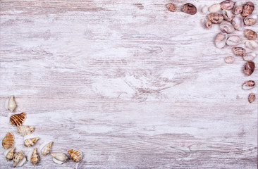 fondo de madera con detalle de caracolas y conchas