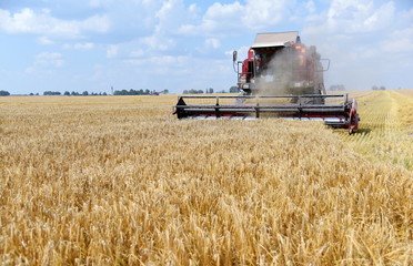 Fototapeta na wymiar The harvester works in a wheat field.Summer harvest.