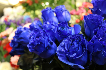 Fototapeta na wymiar Blue roses close-up. Beautiful bouquet. A romantic gift. Background for the desktop. Flower shop. Floristics. Bokke.