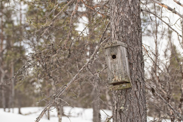 Rouge rural birdhouse on the tree in finland forest