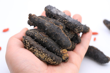 dried sea-cucumber