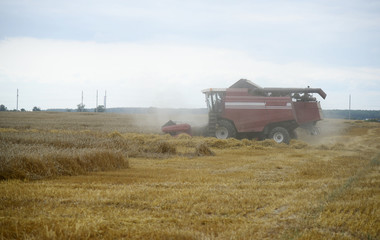 Fototapeta na wymiar combine harvester working on wheat field