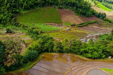 Aerial view of beautiful and freshly planted rice terraces in rainy season. 