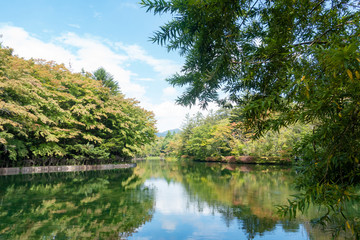Fototapeta na wymiar Beautiful reflection of greenery on water in Kumoba Pond, at Karuizawa, Nagano, Japan.