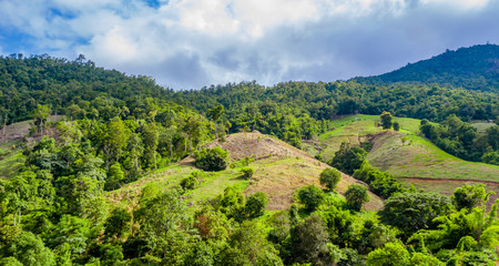 Aerial view of agriculture lands in Doi Inthanon national park, Thailand. 
