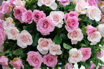 bouquet of pink roses