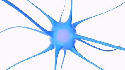 Neuron isolated on white background. Nerve cell. Neurons. Neural network background. 3D-rendering.