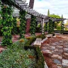 Jardines, El Retiro, Madrid. España.