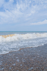 The sea shore at summer Sunny clear day in early summer