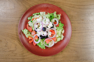 Restaurant food served on a red plate. Fish, cheese, salad, vegetables, sauce.