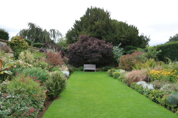 Chair In Garden