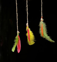 multi-colored feathers of birds hung on ropes, a talisman