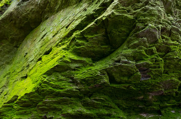 Felsen Moos Algen Grün Oberfläche Hintergrund Struktur Stein Wand rauh Steinbruch Kante Klüfte...