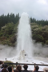 Geyser