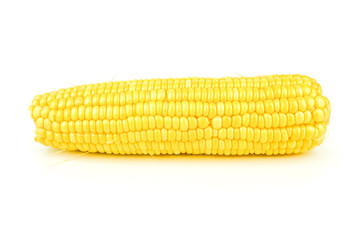 fresh raw corn cob isolated on white background