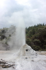 Geyser