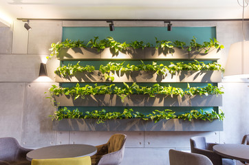 Beautiful cafe interior with lots of greenery on wall