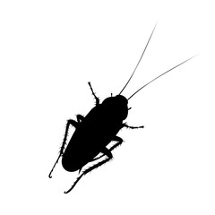 Vector silhouette of cockroach on white background. Symbol of annoying insect.