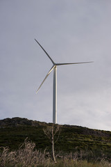 Fototapeta premium wind power mills in the mountains of portugal