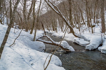 冬の奥入瀬渓流
