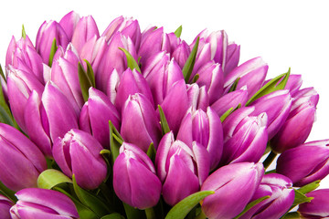 Bouquet Tulips spring flowers