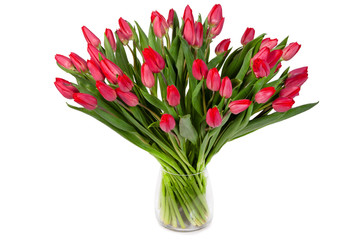 Bouquet Tulips spring flowers