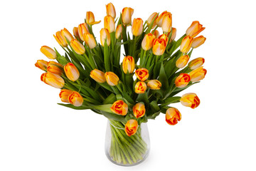 Bouquet Tulips spring flowers