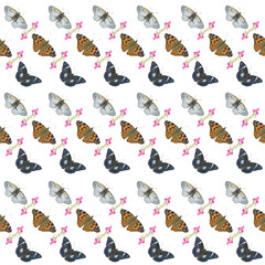 Butterflis. Seamless pattern.