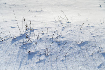 Snow covered field. Snow and snow-covered grass.