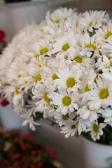 Fototapeta premium Bouquet with flower blossom. Floral background. Shallow depth photo. Soft toned colors.