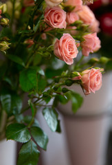 Fototapeta premium Bouquet with flower blossom. Floral background. Shallow depth photo. Soft toned colors.