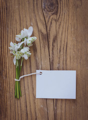 White flowers with blank label on wood