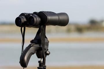 Bird watching with binoculars on tripod, spending time in nature birdwatching at the river with birding equipment, optics